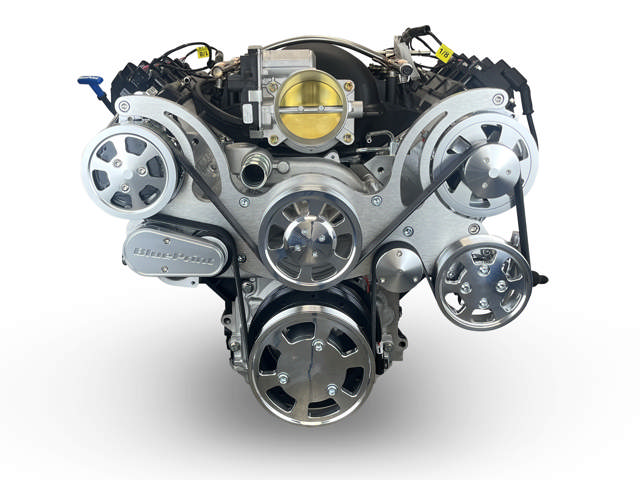 GM LS Compatible 376 c.i. Pro Series Engine - GM Plastic Intake - Deluxe Dressed - Polished Pulley Kit - Holley Terminator X EFI System