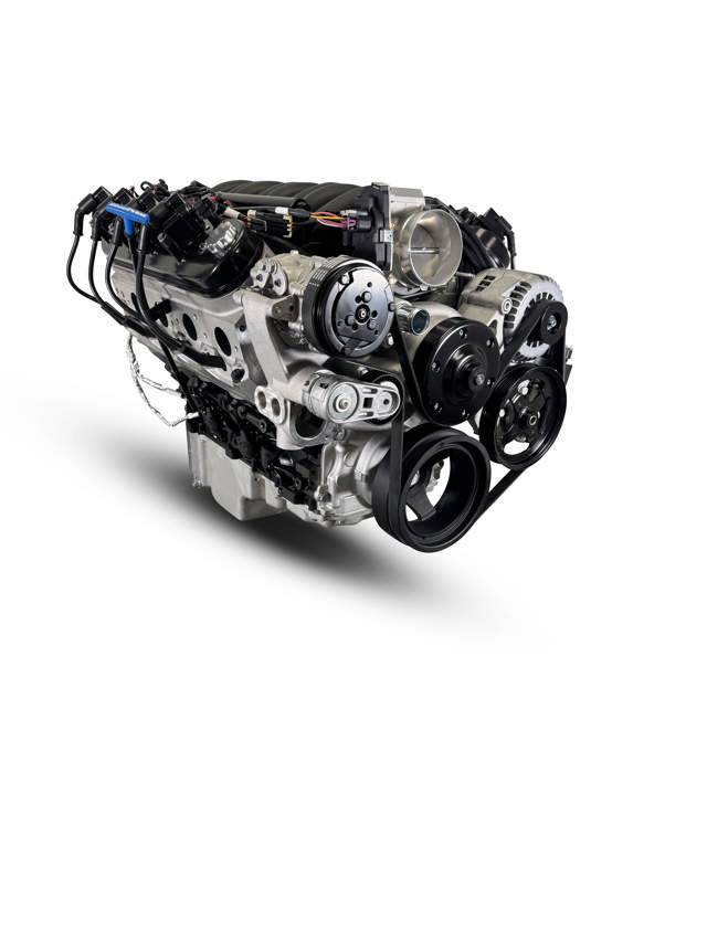 GM LS Compatible 376 c.i. Pro Series Engine - GM Plastic Intake - Deluxe Dressed - Natural Pulley Kit - Holley Terminator X EFI System