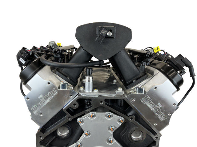 GM LS Compatible 376 c.i. Pro Series Engine - 525 Horsepower - Deluxe Dressed - Black Pulley Kit - Holley Terminator X EFI System